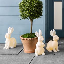 Williams Sonoma Pre-Lit Bunny Décor
