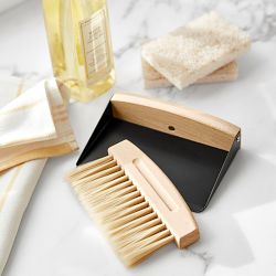 Hold Everything Magnetic Hand Brush and Pan