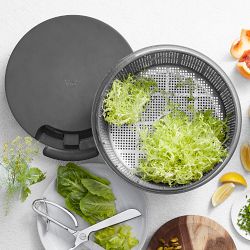 Williams Sonoma Salad Spinner