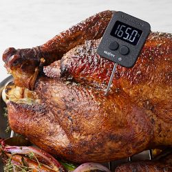 Williams Sonoma Instant Read Digital Thermometer