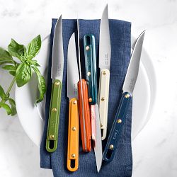 GreenPan™ Stanley Tucci™ Steak Knives with Wood In-Drawer Block, Set of 6