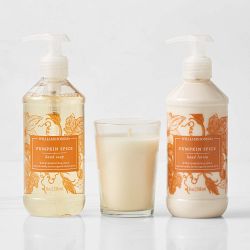 Williams Sonoma Pumpkin Spice Guest Set
