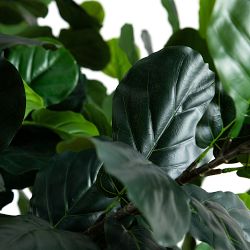 Artificial Fiddle Leaf Fig Tree, 13'