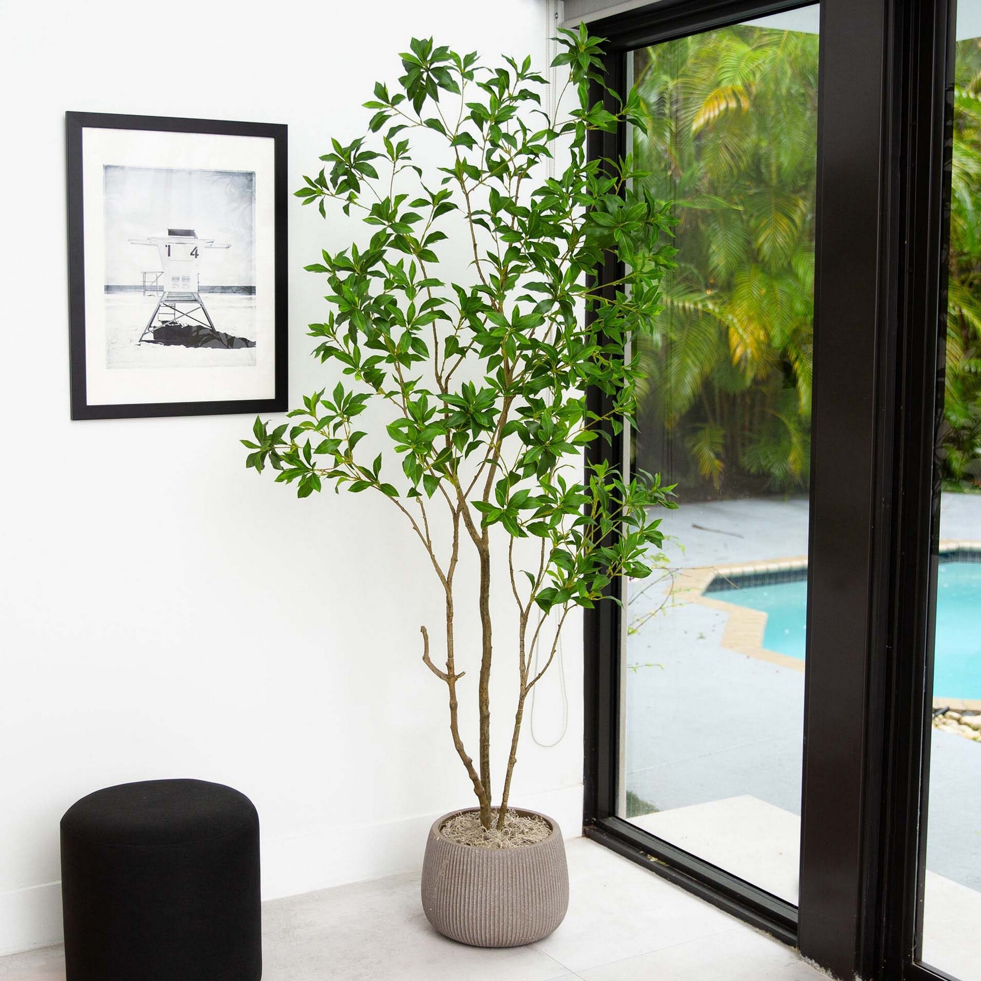 Artificial Minimalist Japanese Pieris Tree with Real Touch Leaves, 7′ Sansujyuku sansujyuku.com
