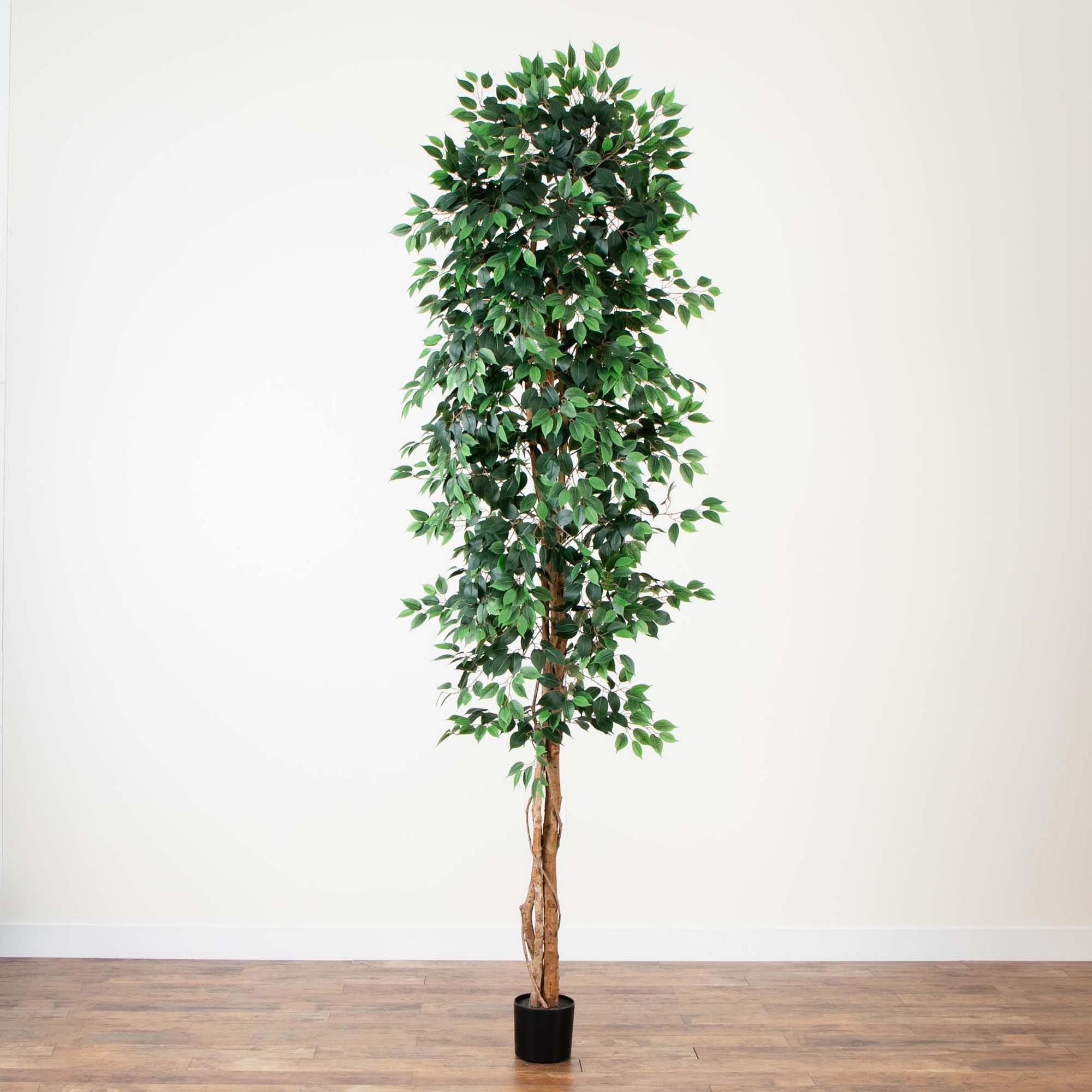 Artificial Ficus Tree, 10′ Simolary simolary.com
