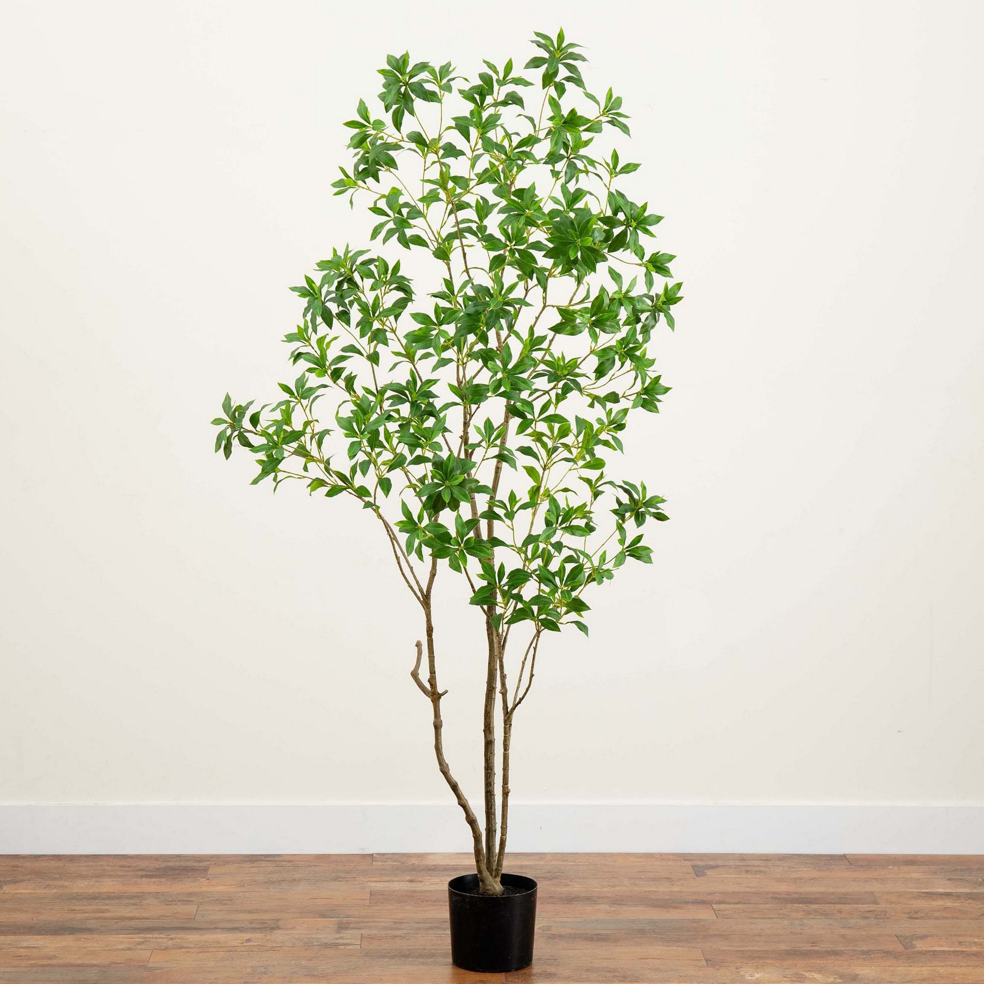 Artificial Minimalist Japanese Pieris Tree with Real Touch Leaves, 7′ Simolary simolary.com