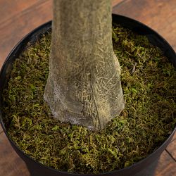 Artificial Eucalyptus Tree, 13'