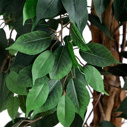 Artificial Ficus Tree, 10'