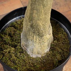 Artificial Fiddle Leaf Fig Tree, 13'