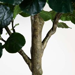 Artificial Fiddle Leaf Fig Tree, 13'