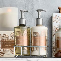 Williams Sonoma Spiced Chestnut Hand Soap &amp; Lotion 3-Piece Set