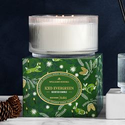 Williams Sonoma Seasonal Home Scents Iced Evergreen Triple Wick Candle