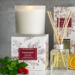 Williams Sonoma Winter Berry Candle