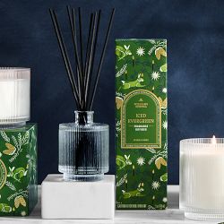 Williams Sonoma Seasonal Home Scents Iced Evergreen Diffuser
