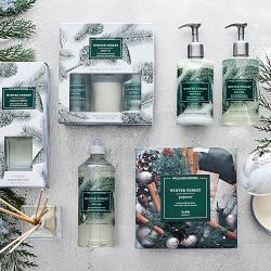 Williams Sonoma Winter Forest Seasonal Diffuser, 4.7oz