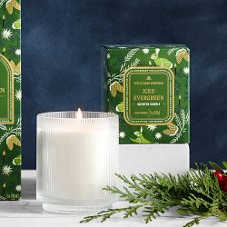 Williams Sonoma Seasonal Home Scents Iced Evergreen Candle
