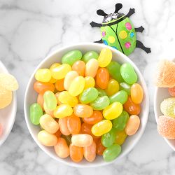 Williams Sonoma Citrus Fruit Jelly Beans