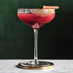 Williams Sonoma Coupe Cocktail Glasses - Thumbnail 5