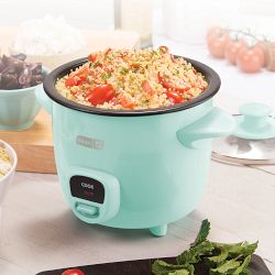 Dash Mini Rice Cooker, Aqua