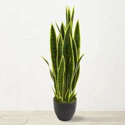 Faux Sansevieria Indoor Plant, 33"