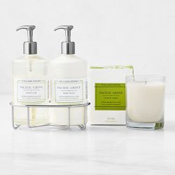 Williams Sonoma Pacific Grove 4-Piece Deluxe Set, Silver