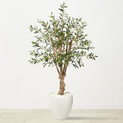 Faux Olive Tree in White Planter, 53"