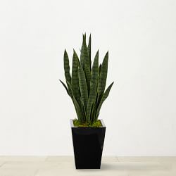 Faux Sansevieria Indoor Plant, 40"