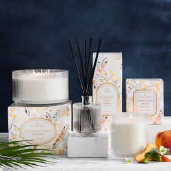Williams Sonoma Seasonal Home Scents Champagne Spritz Collection