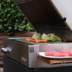 Zwilling Flammkraft Model D Module Freestanding Propane Gas Grill