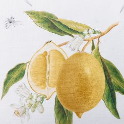 Meyer Lemon Pillow Cover