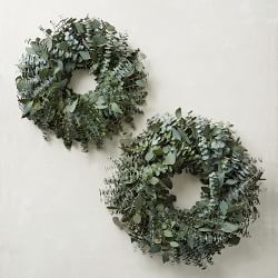 Mixed Eucalyptus Live Wreath