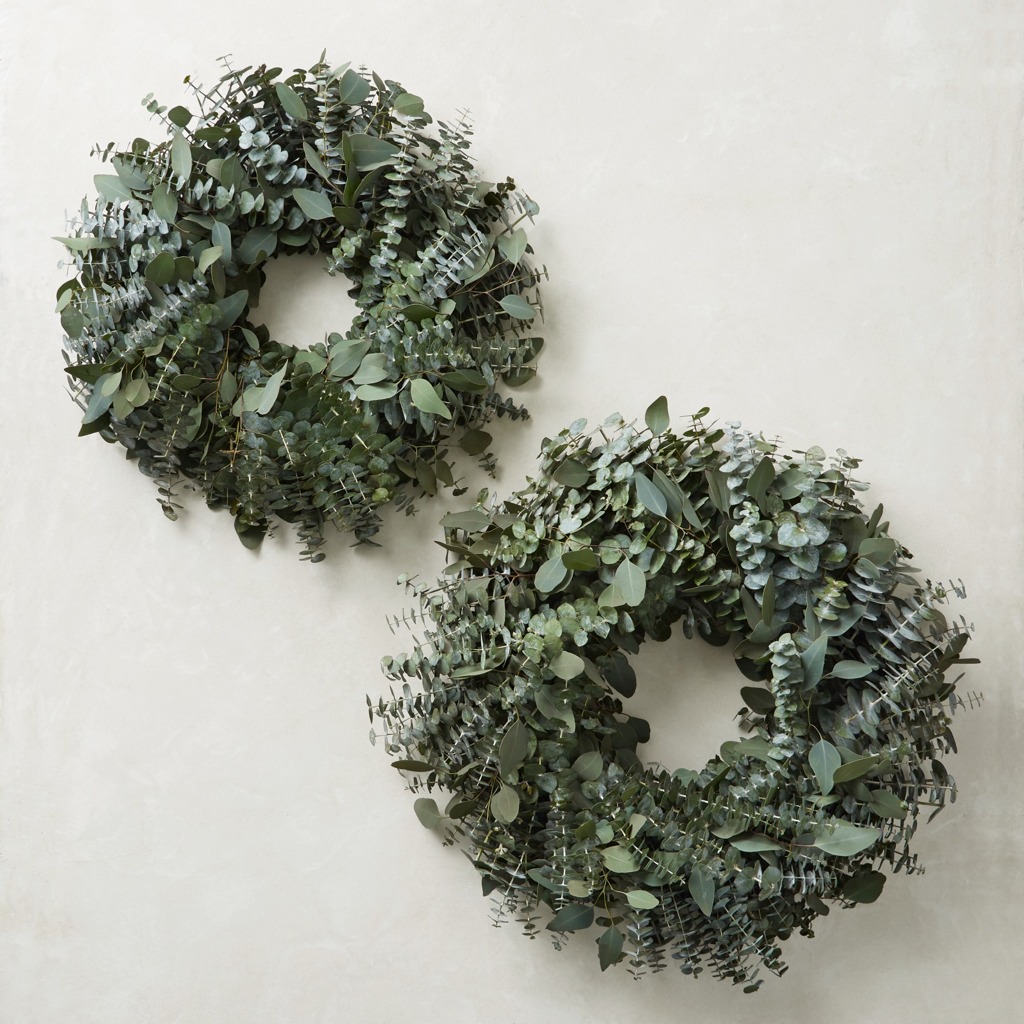 Mixed Eucalyptus Live Wreath Sansujyuku sansujyuku.com
