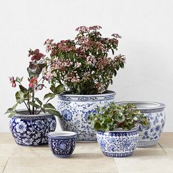 Blue &amp; White Ceramic Planter Collection