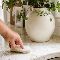 Full Circle Cleana Colada Coconut Scrubber Sponge