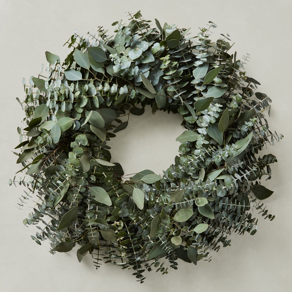 Mixed Eucalyptus Live Wreath - 24"