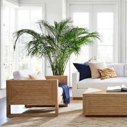 Point Reyes Occasional Chair