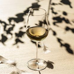 Schott Zwiesel Vuelo White Wine Glasses