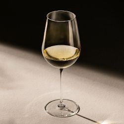 Schott Zwiesel Vuelo White Wine Glasses