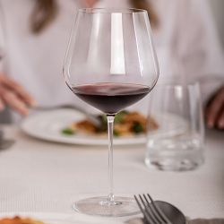 Schott Zwiesel Vuelo Burgundy Glasses