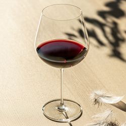 Schott Zwiesel Vuelo Burgundy Glasses
