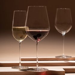 Schott Zwiesel Vuelo Red Wine Glasses