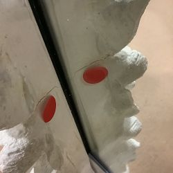 OPEN BOX: AERIN Coral Wall Mirror