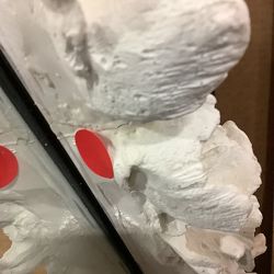 OPEN BOX: AERIN Coral Wall Mirror