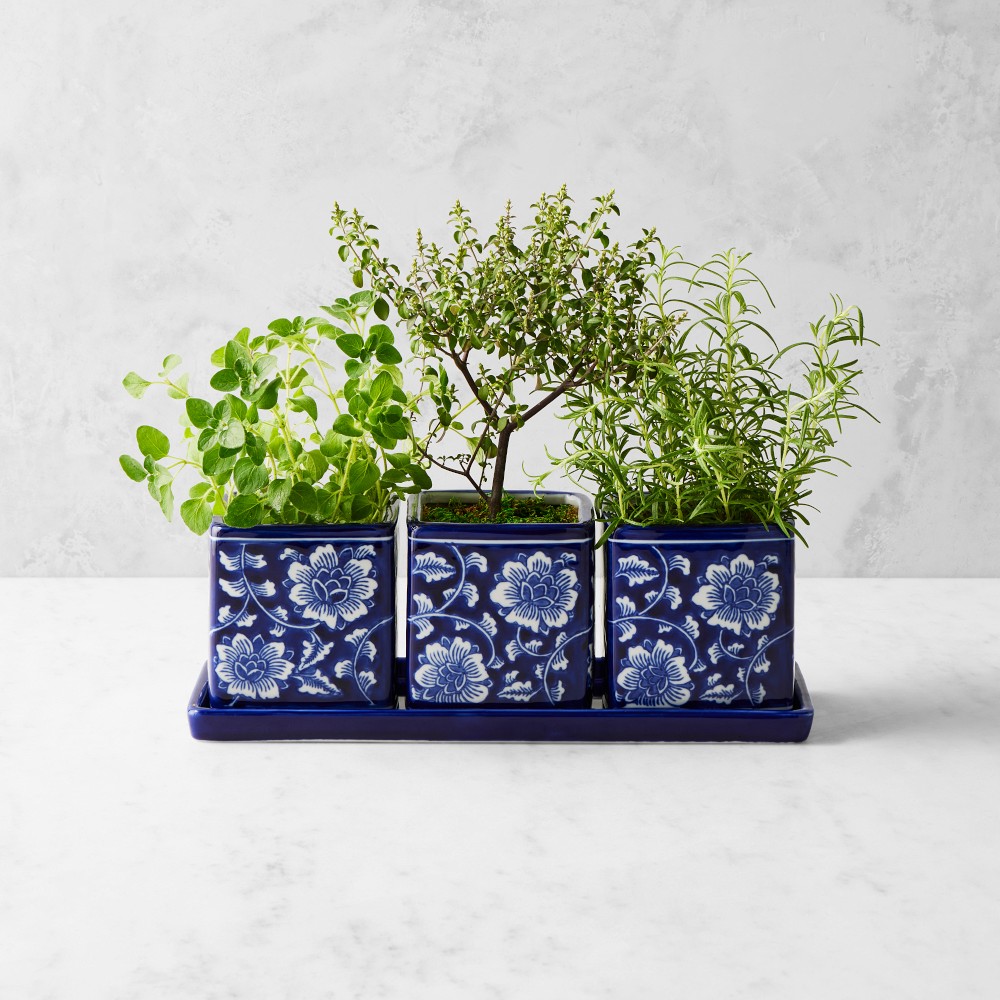 Blue & White Ceramic Herb Tray with Pots, Set of 3