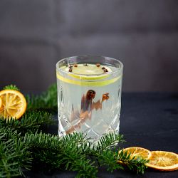 Riedel Spey Double Old-Fashioned Glasses