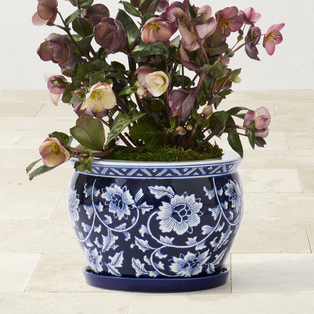 Blue & White Ceramic Planter, Medium with Tray