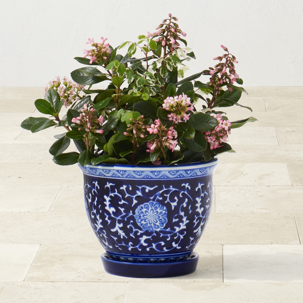 Chinoiserie Ceramic Planter with Tray Collection - Extra Small with Tray