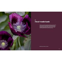 Leslie Bennett: Garden Wonderland: Create Life-Changing Outdoor Spaces for Beauty, Harvest, Meaning, and Joy