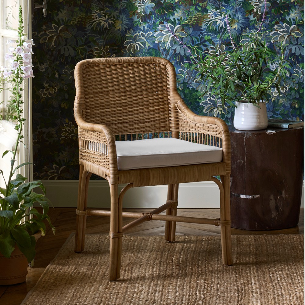 Avila Rattan Dining Armchair by Williams Sonoma Home