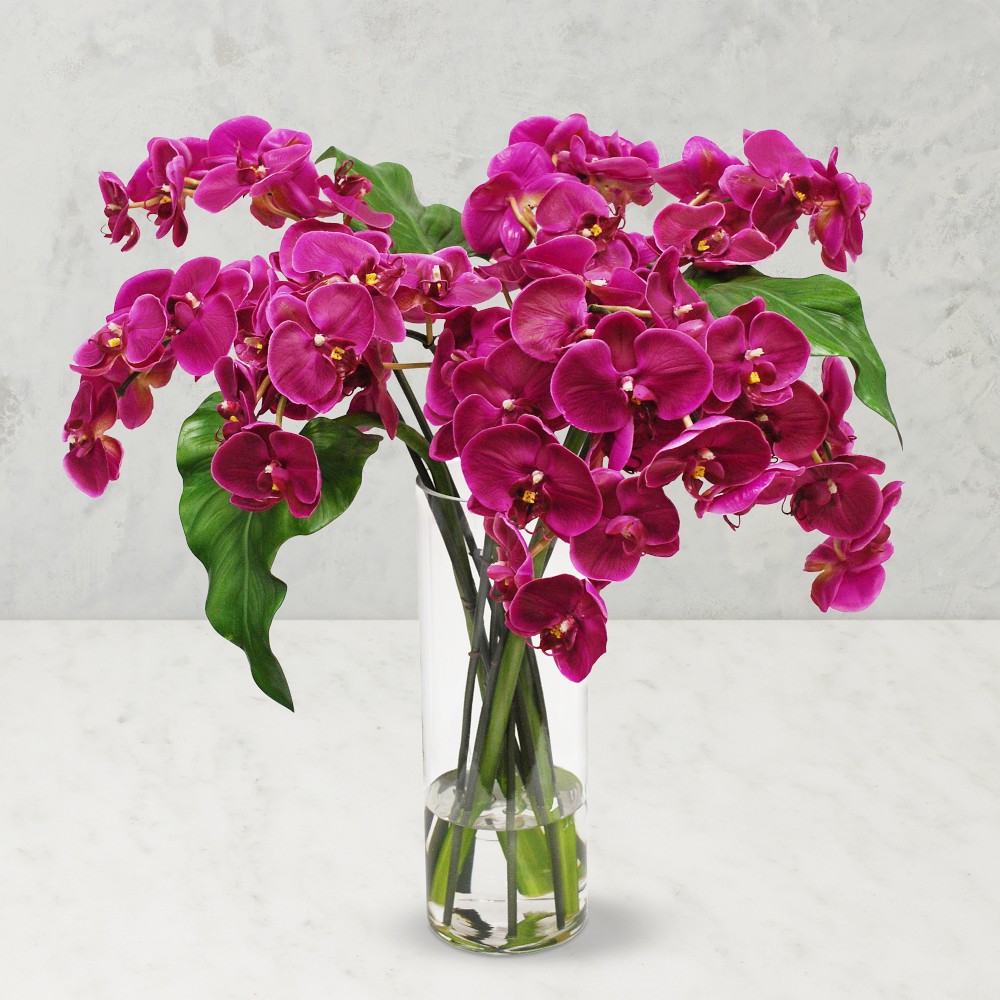 Faux Phalaenopsis Orchid in Slim Vase by Williams Sonoma Home